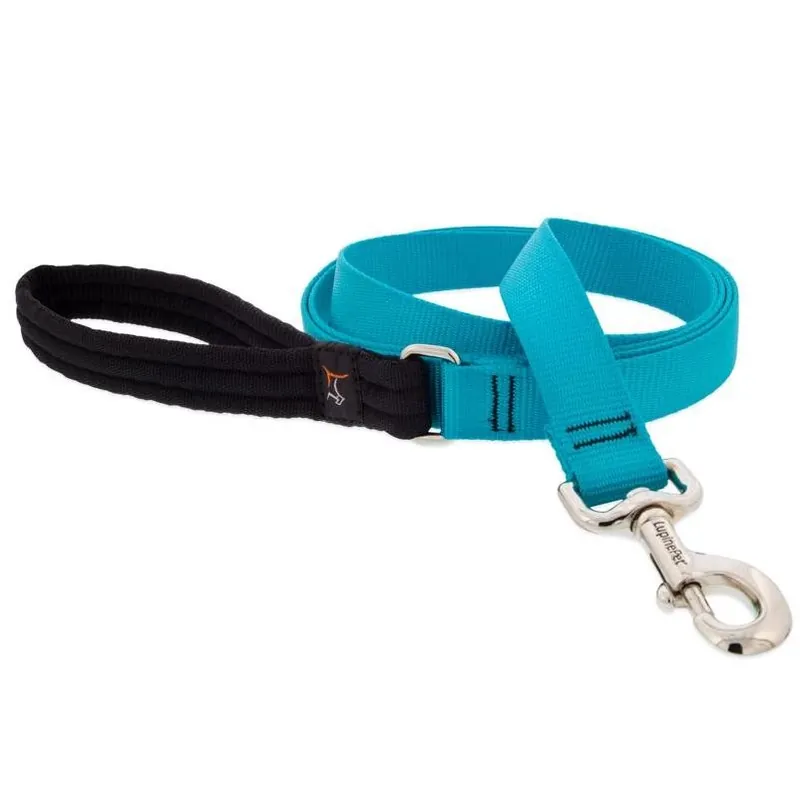 Aqua Nylon Dog Leash – 6‑ft, One‑size‑fits‑all, High‑visibility