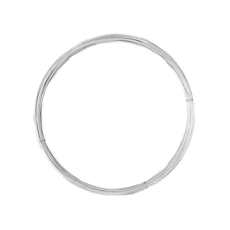 Galvanized Steel Tension Wire 1 Pk