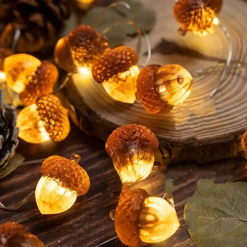 Loochica Batteryoperated Acorn Led String Lights Autumn Holiday Decor