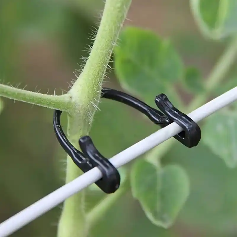 50pcs Durable Vegetable Garden Clips Tomato Support Trellis Solution