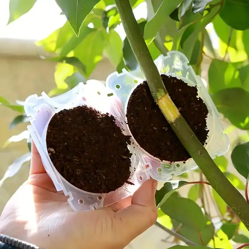 Rapid Root Growth Box Durable Highpressure Propagation Device For Easy Plant Care