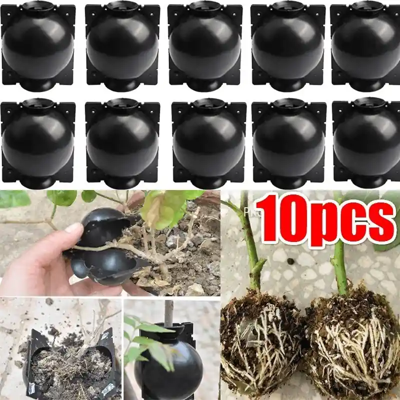 10pcs Black Reusable Plant Root Growing Boxes Easy Propagation Kit