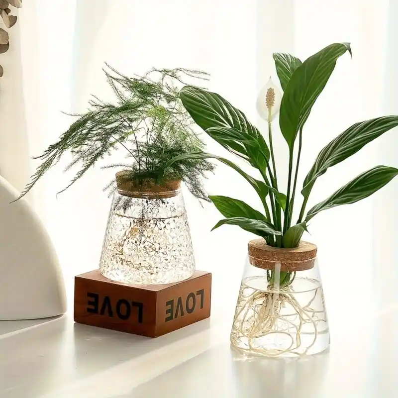 Hydroponic Glass Planter Propagation Station Modern Indoor Vase Decor