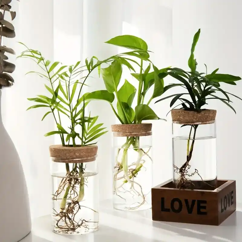 Elegant Glass Hydroponic Planter Vase Perfect Desktop Home Decor