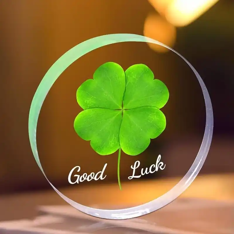 Lucky Fourleaf Clover Acrylic Paperweight Motivational Desk Decor Gift