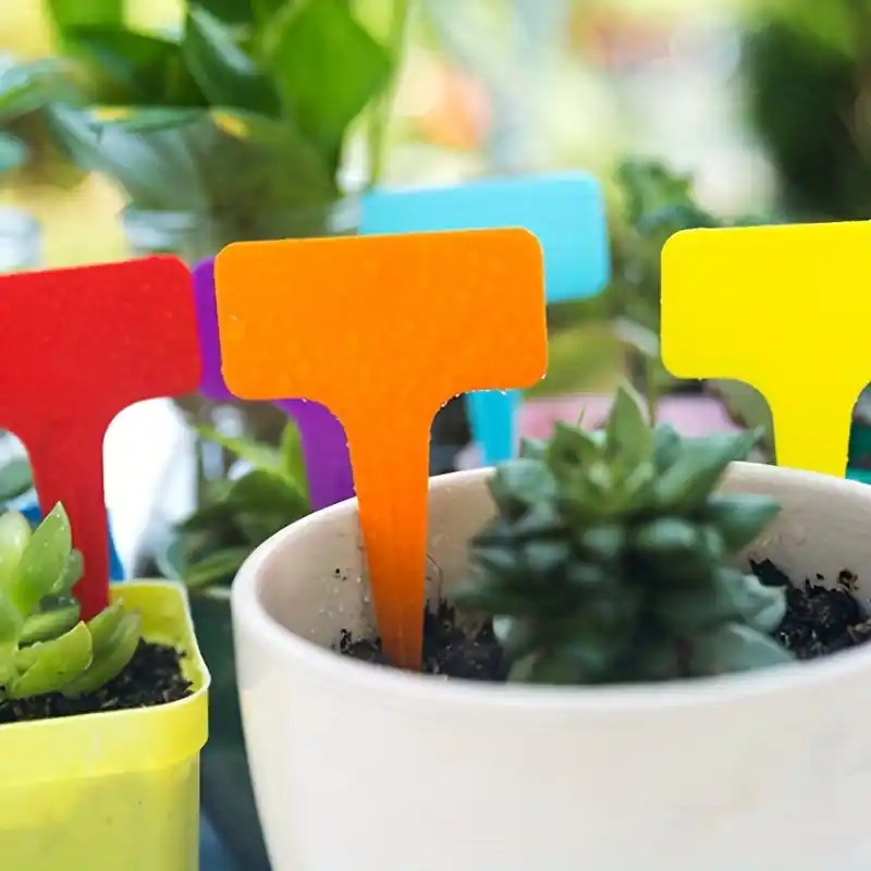 10pcs Ttype Plastic Plant Tags Nursery Garden Labels Markers