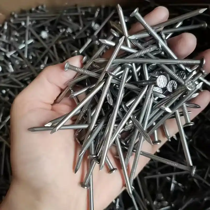 50pcs Iron Nails Set 6 Sizes For Carpentry Walls Fences