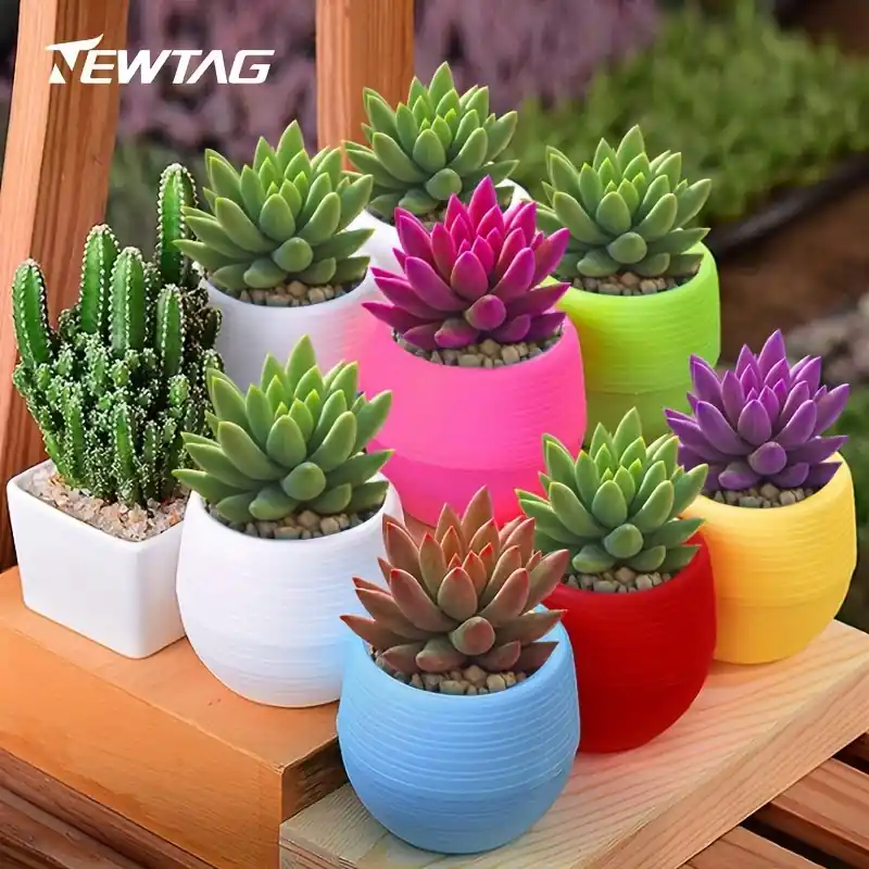 3pc Modular Succulent Cactus Planter Set Lightweight Indooroutdoor Decor
