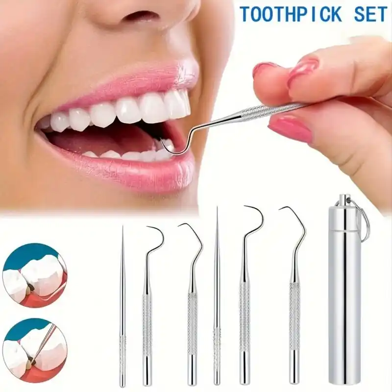6piece Stainless Steel Toothpick Set With Portable Storage Tube Dental Flossing Kit