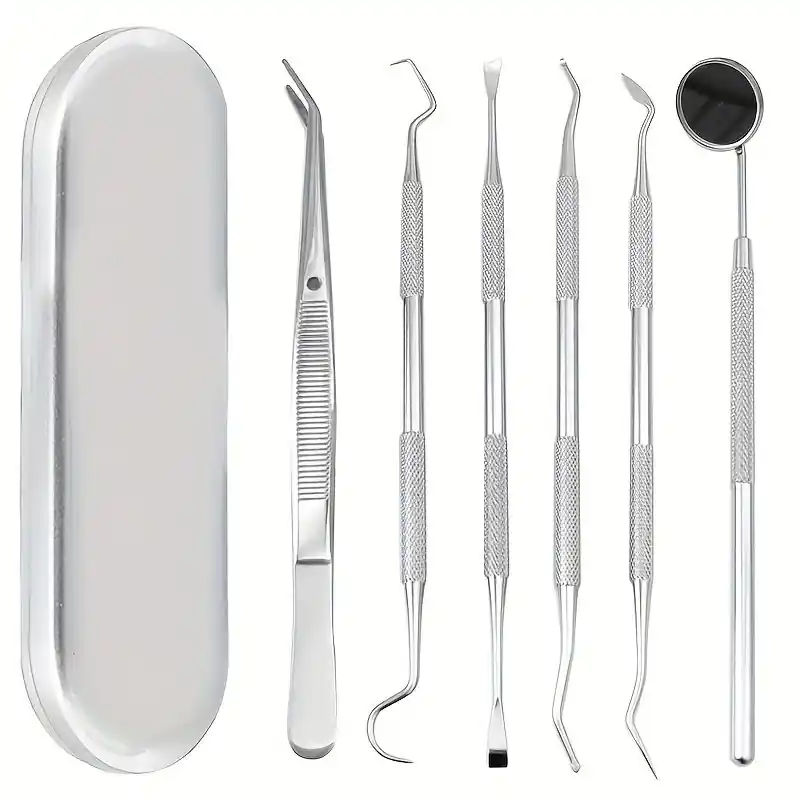 Stainless Steel Dental Hygiene Kit Teeth Cleaning Whitening Tools
