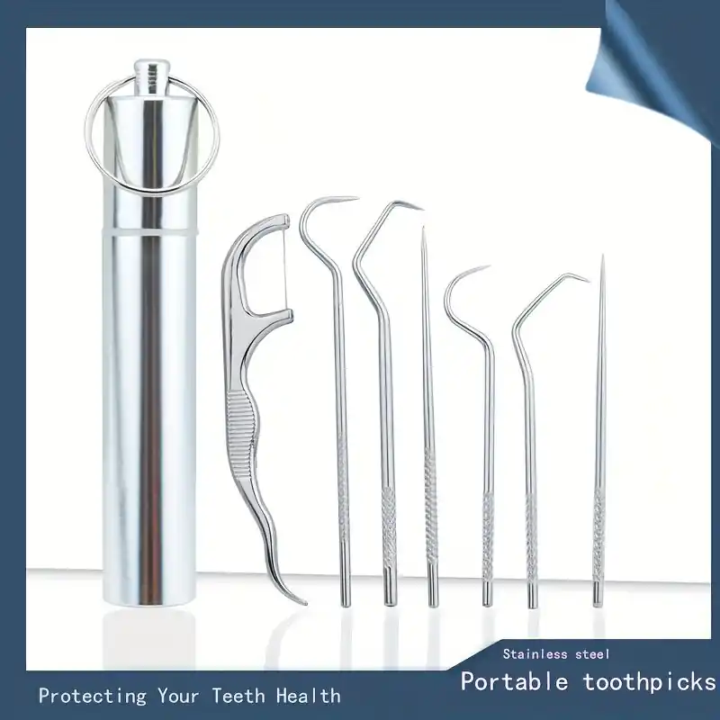 Reusable Stainless Steel Toothpicks Set Portable Dental Cleaning Tools