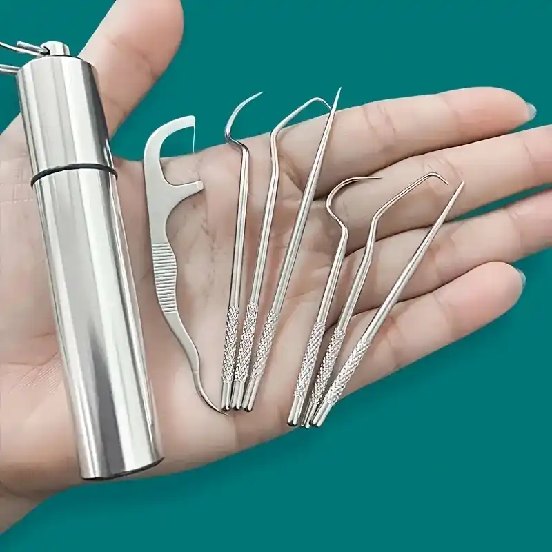 Portable Stainless Steel Reusable Toothpicks Set Travel Floss Cleaning Kit