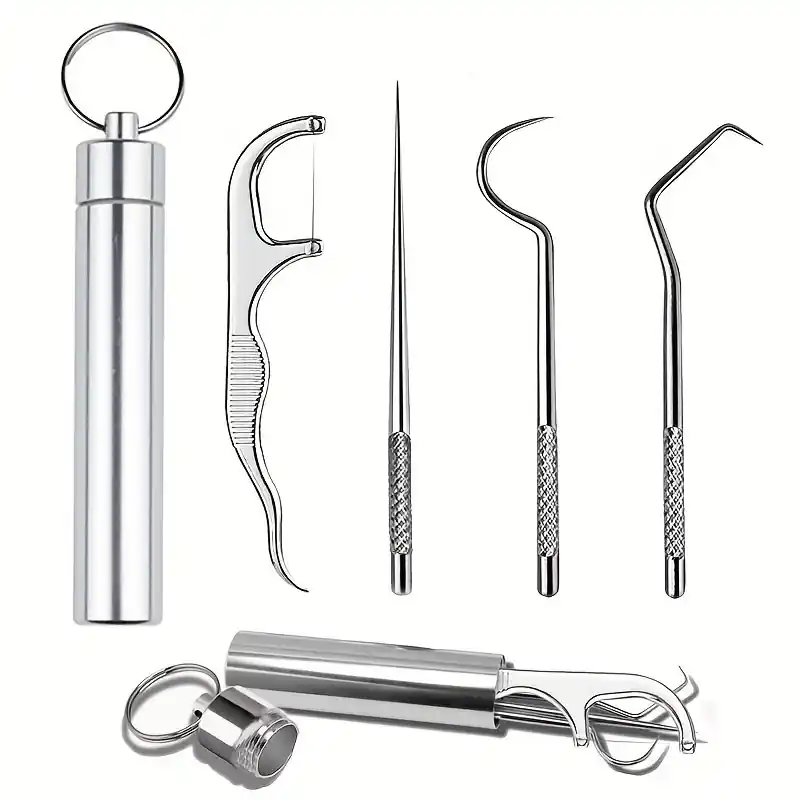 4pcs Reusable Stainless Steel Toothpicks Set With Portable Holder