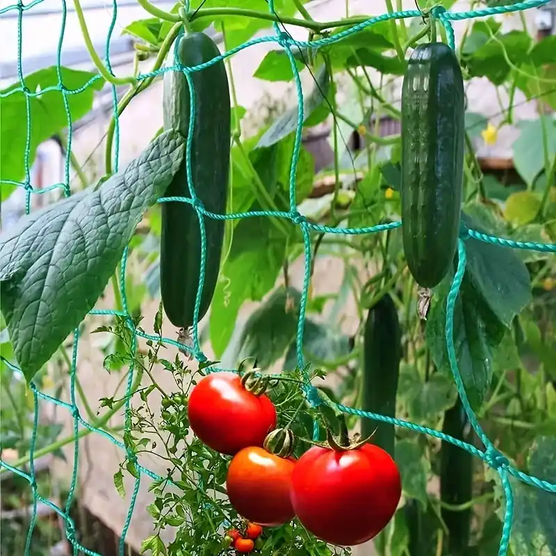 Durable Nylon Trellis Netting For Climbing Plants 708×354