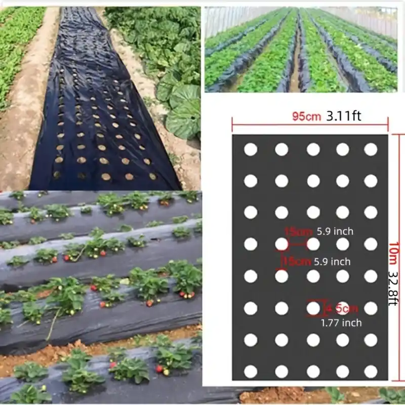 Breathable Garden Weed Control Plastic Film With Planting Holes Moisture Retention