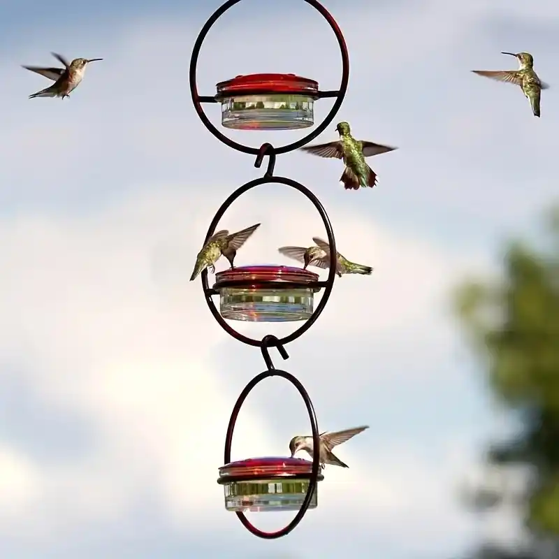 3pcs Elegant Metal Bottle Hummingbird Feeder Set With Perch Frame