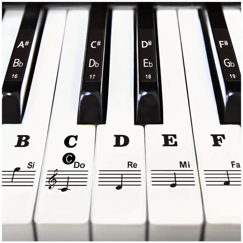 Easyapply Piano Key Stickers Removable Fits 8837 Keys Learn Fast