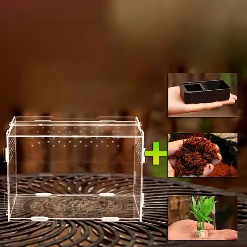 Acrylic Reptile Terrarium Kit Vivarium Substrate Water Bowl Plant For Gecko Snake