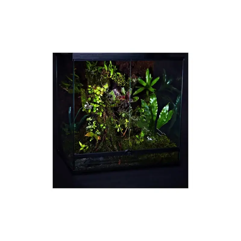 Large Glass Terrarium For Reptile Breeding Ecological Rainforest Landscaping