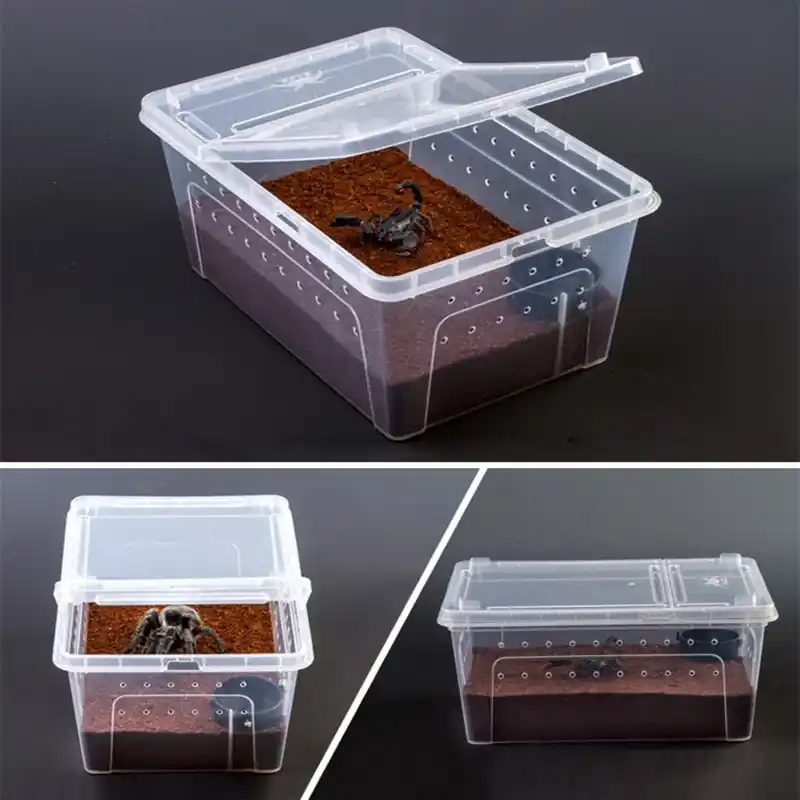 Reptile Feeding Hatching Container Terrarium Cage For Tortoise Spider Insect