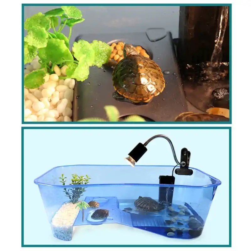 Turtle Aquarium Tank Reptile Vivarium With Basking Ramp Breeding Food Accessories