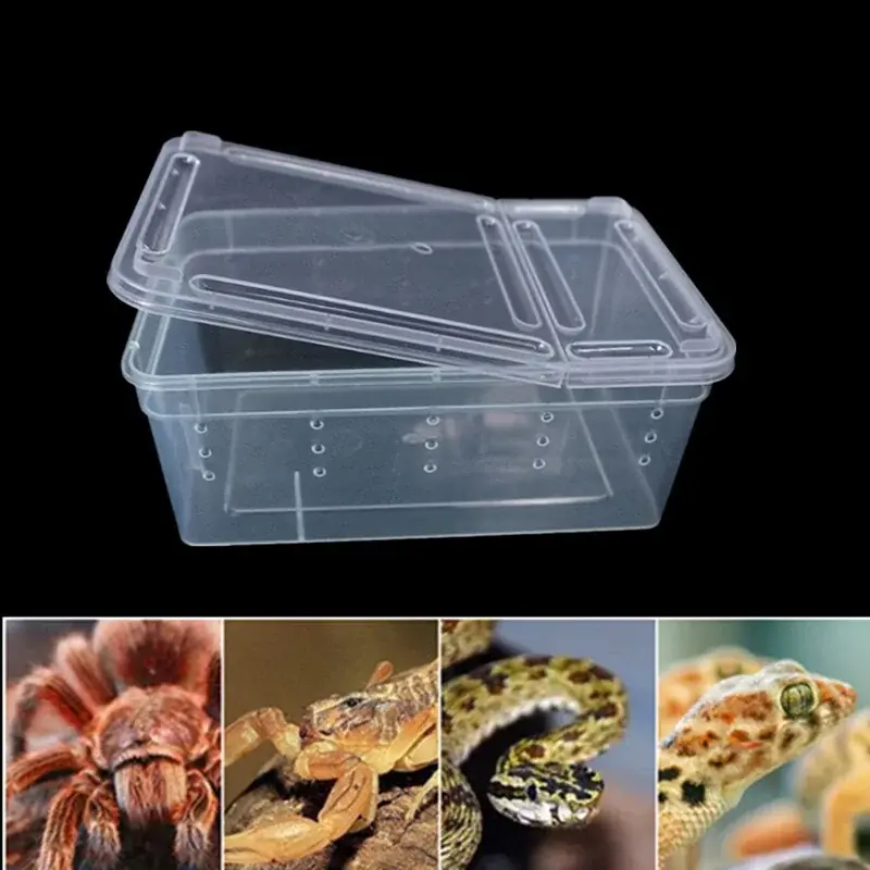 Transparent Reptile Terrarium Spider And Insect Breeding Feeding Transport Box
