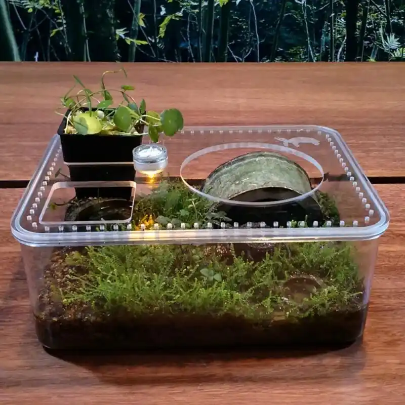Small Desktop Turtle Tank Landwater Basin For Aquarium Landscaping Breeding