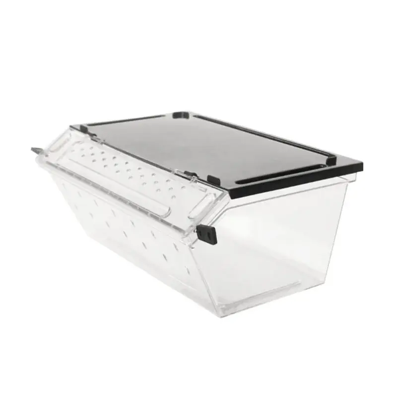 Reptile Insect Breeding Box Gecko Spider Lizard Centipede Scorpion