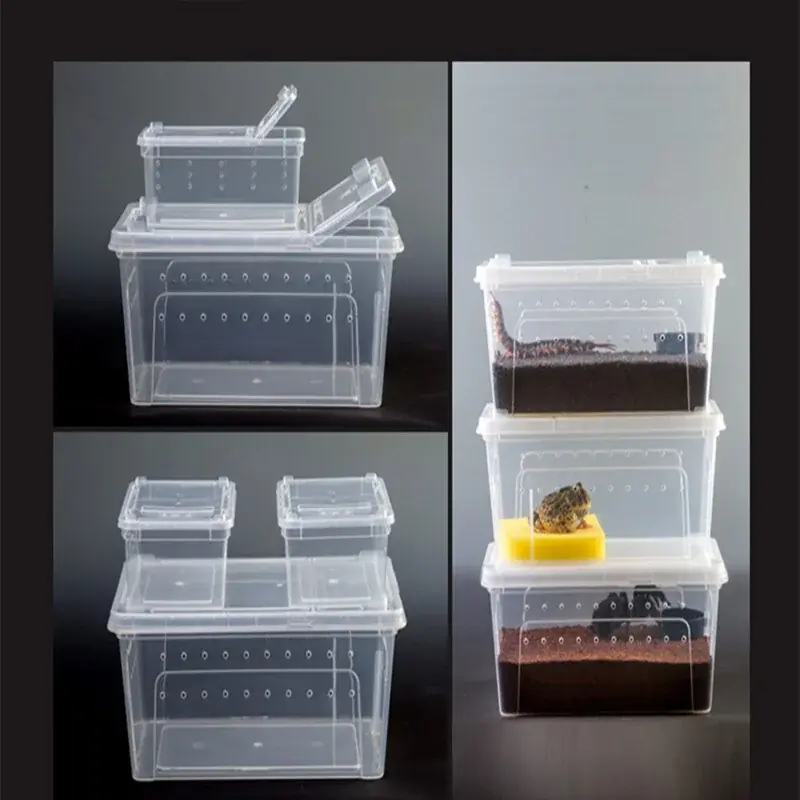Transparent Reptile Terrarium Plastic Pet Feeding Breeding Transport Box