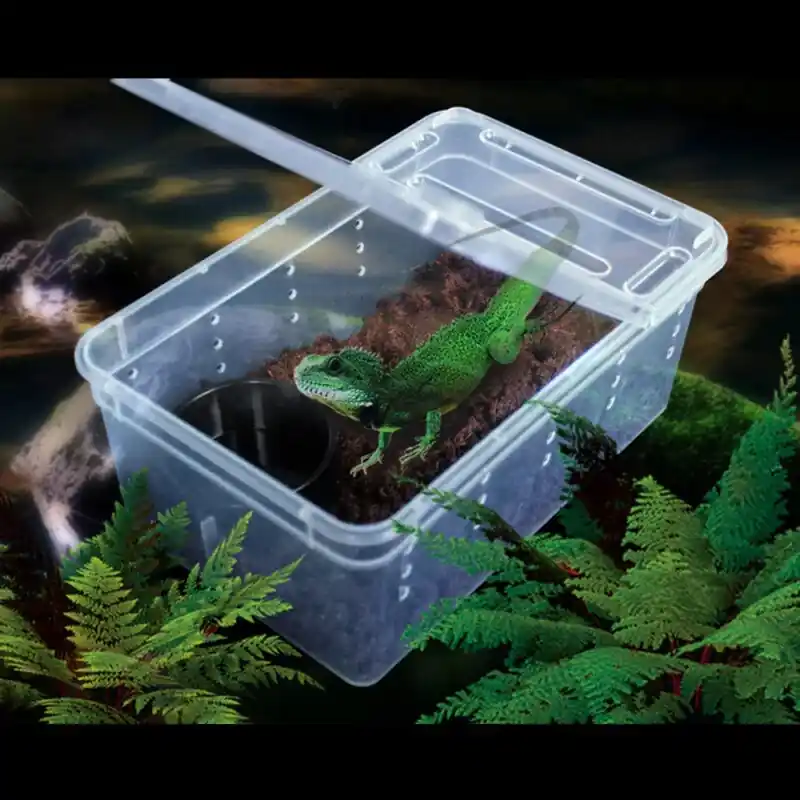 Small Reptile Pet Feeding Cage Plastic Habitat For Lizards Frogs Spiders