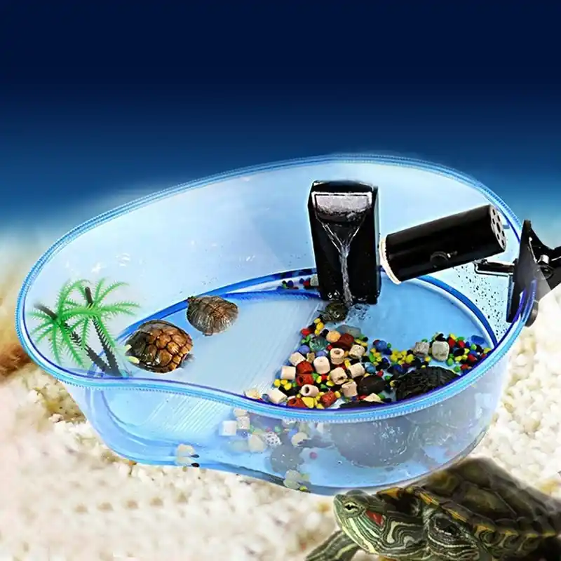Turtle Vivarium Aquarium Tank With Reptile Habitat Platform Plants