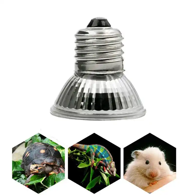 Reptile Uv Lamp 25w75w Heat Controller For Turtles Lizards Uva Uvb Bulbs