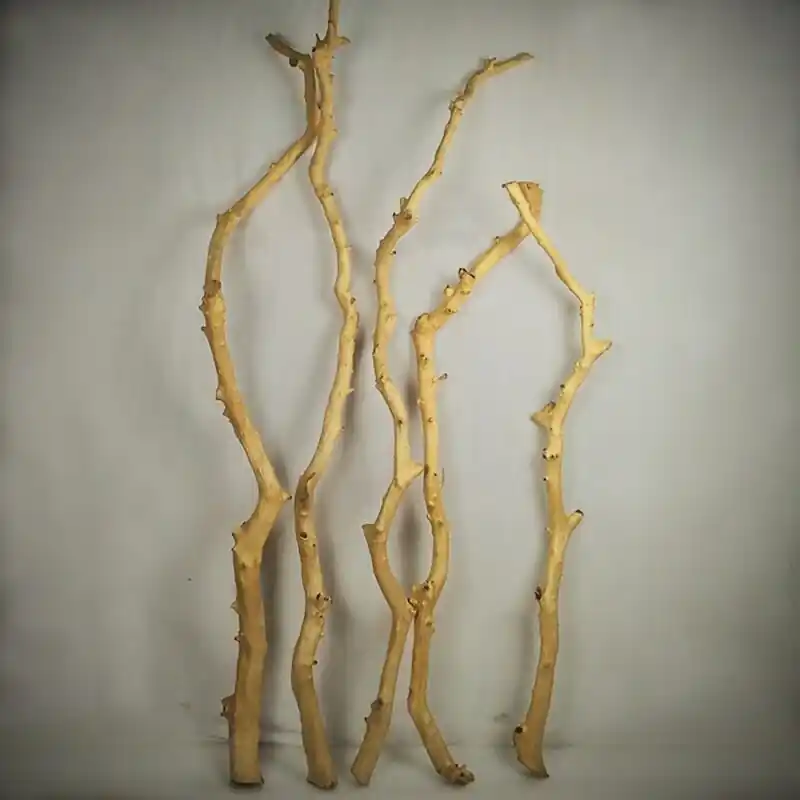 Natural Wood Reptile And Bird Climbing Branches Creative Home Decoration Tree