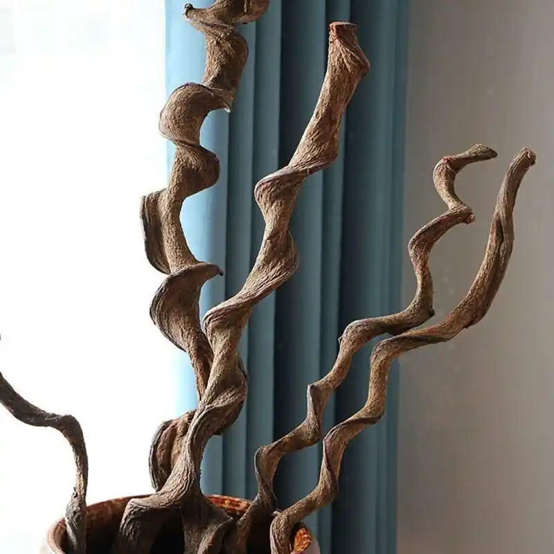 Xl Natural Rattan Vine Reptile Cage Decoration For Pet Activity