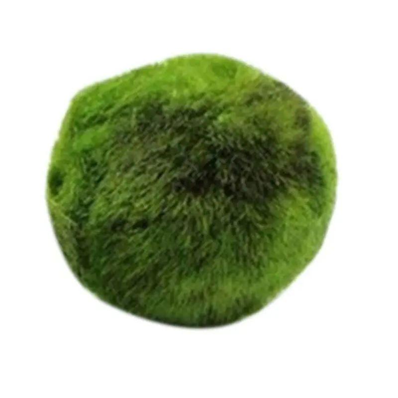 Live Green Algae Ball Aquatic Plant Seed For Aquarium Landscaping Decoration