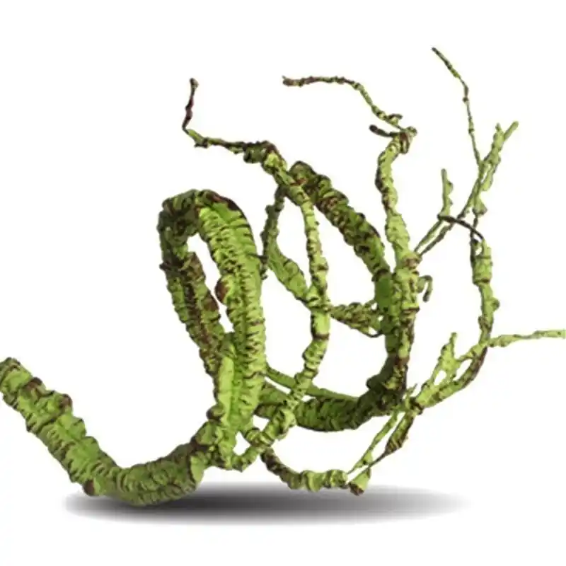 Artificial Jungle Vine For Reptile Habitat Flexible For Lizards Frogs Snakes 25ft