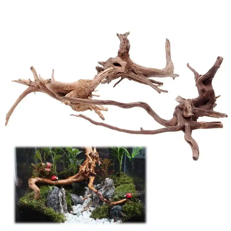 Natural Aquatic Driftwood Decor For Fish Tanks Aquariums Ecofriendly