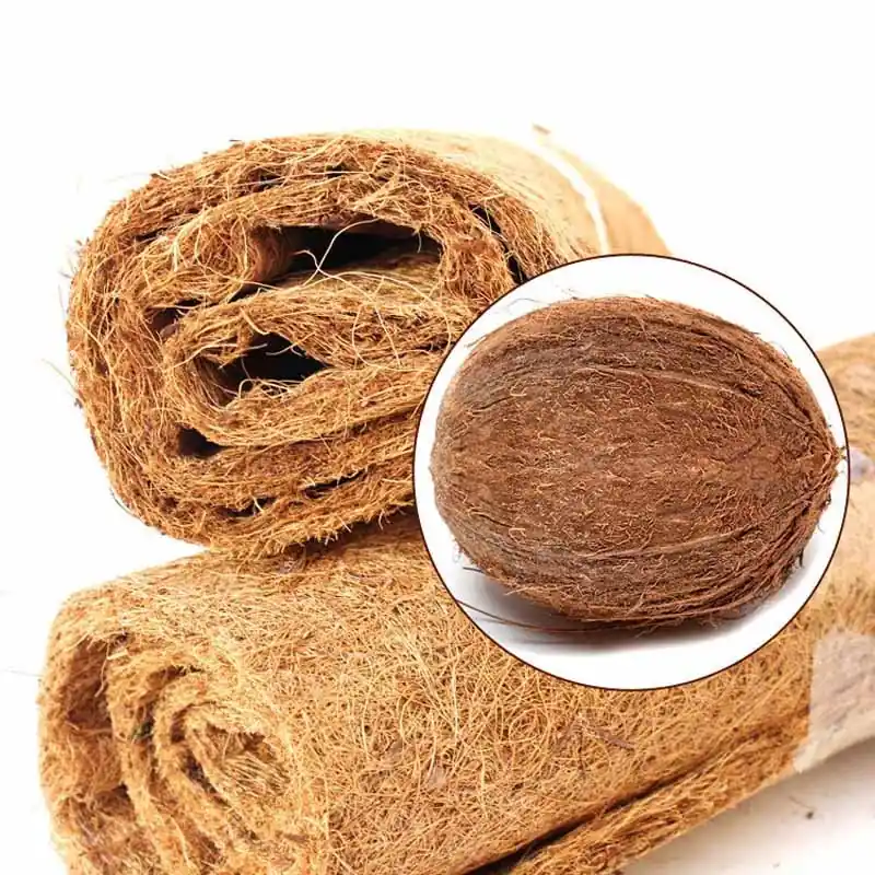 Coconut Palm Reptile Carpet Ideal For Turtles Lizards Climbing Reptiles