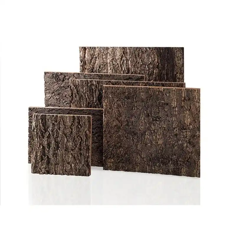 Natural Tree Bark Terrarium Decor For Reptiles Geckos Snakes Frogs