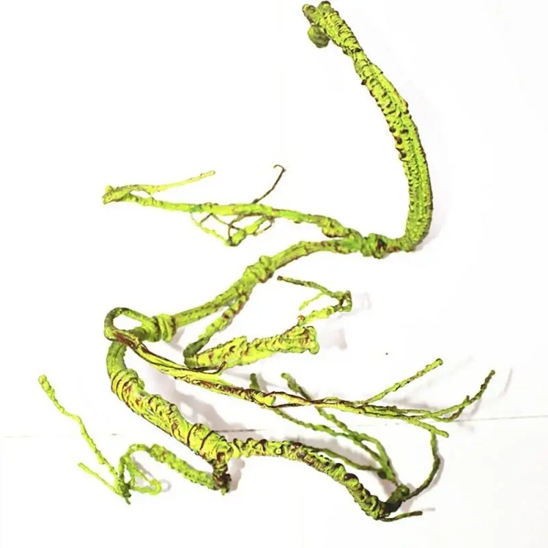 Acrylic Chameleon Breeding Box Foam Vine Branch Rainforest Frog Habitat Decor