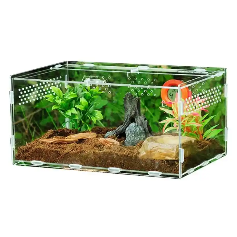 Transparent Acrylic Reptile Feeding Box For Spiders Frogs Scorpions Breeding Safe
