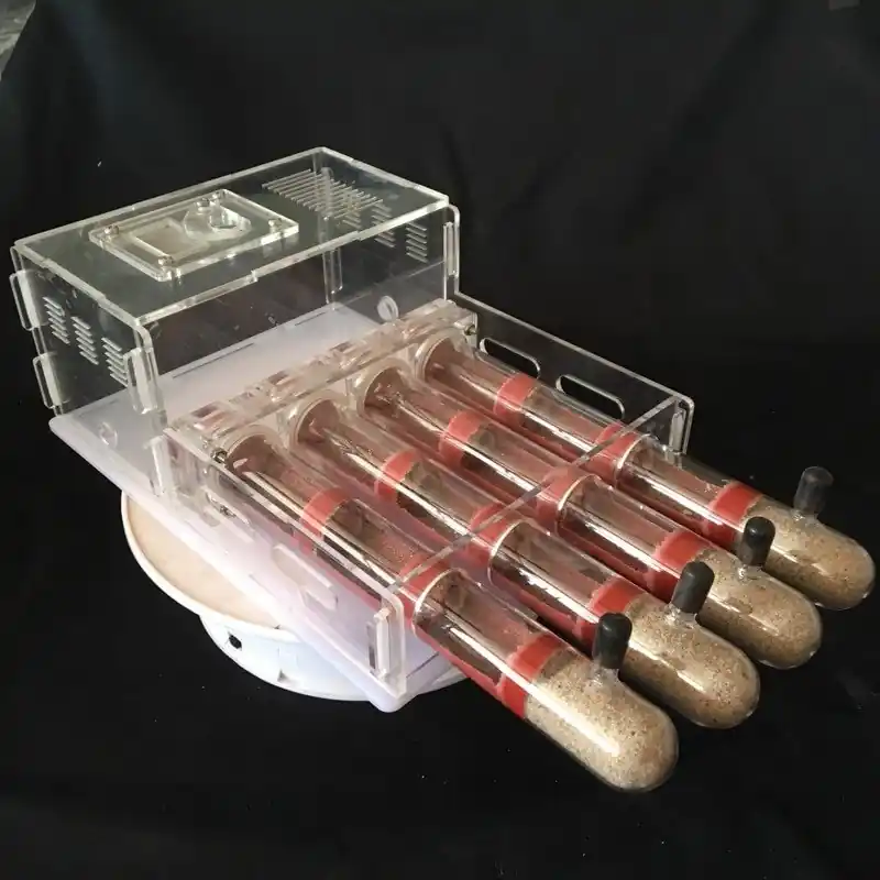 Acrylic Ant Farm Nest With 4 Test Tubes Insect House And Feeding Area