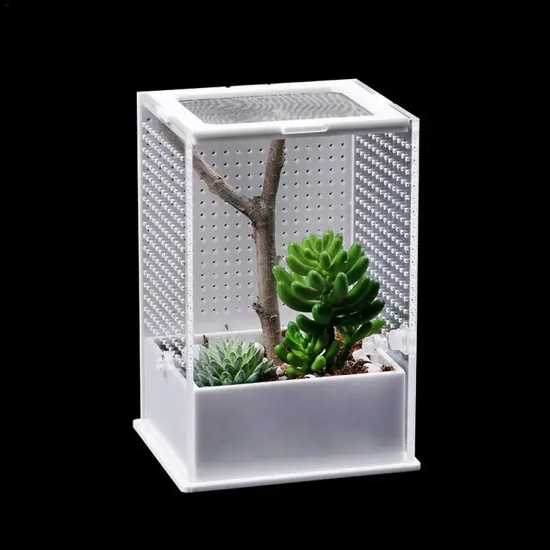 Acrylic Reptile Terrarium Transparent Feeding Insect Breeding Cage