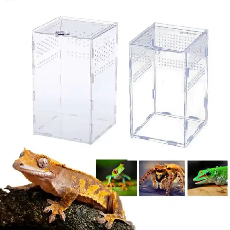 Acrylic Reptile Terrarium Transparent Breeding Cage For Snakes Spiders Chameleons
