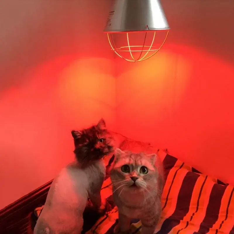 Adjustable E27 175w275w Pet Infrared Heating Lamp For Dogs Cats Chickens