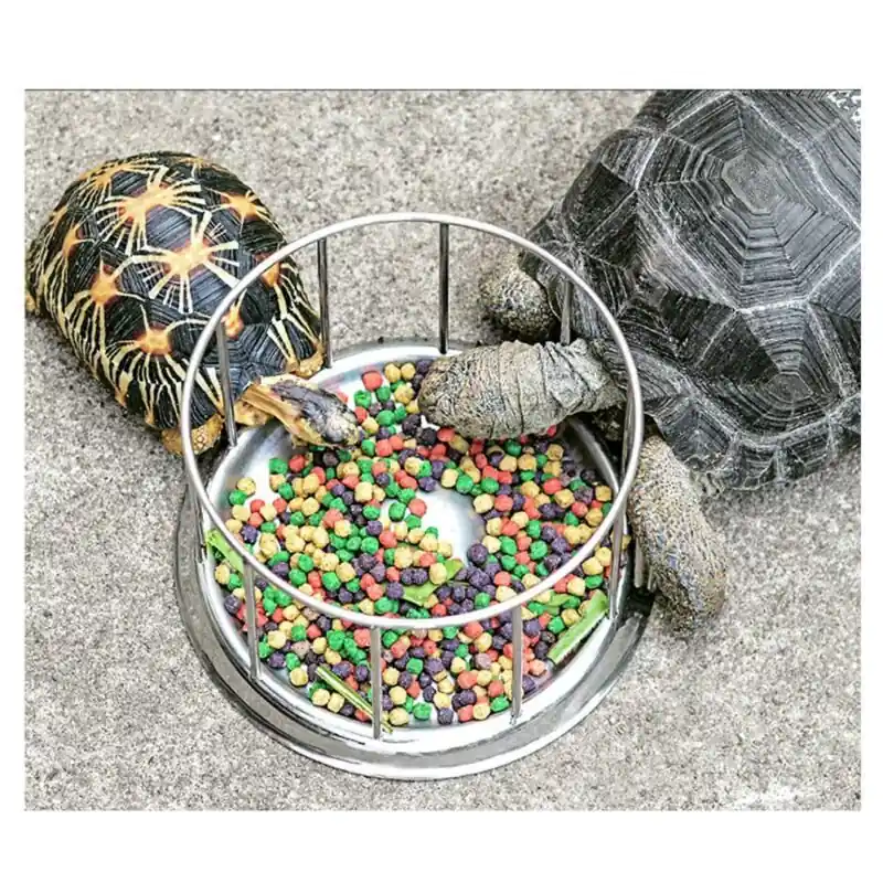 Durable Steel Turtle Feeding Bowl Pet Tortoise Food Water Dispenser Tray
