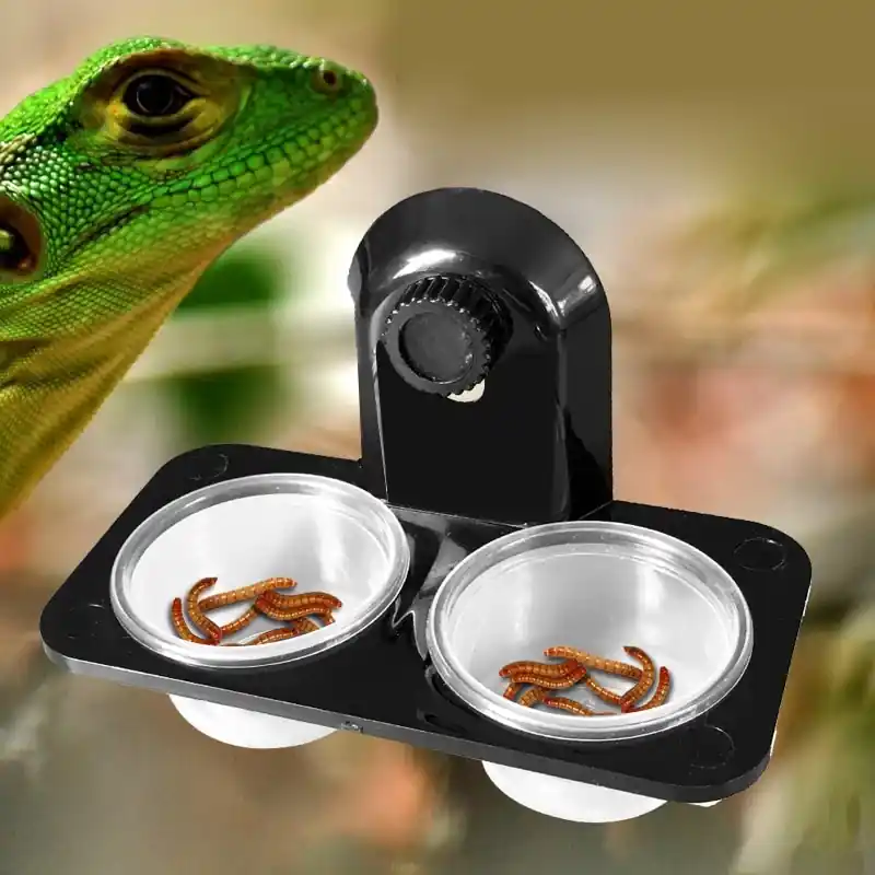 Reptile Feeder Bowl Lizard Turtle Scorpion Crab Food Water Basin