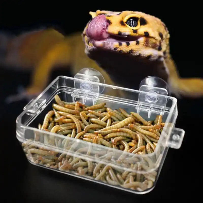 Mounted Reptile Feeder Suction Cup Foodwater Bowl For Breeding Tank