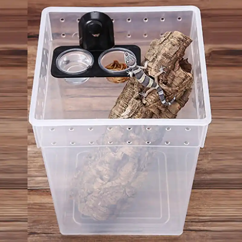 Wallmounted Reptile Feeding Bowl For Snakes Lizards Geckos Insects Spiders