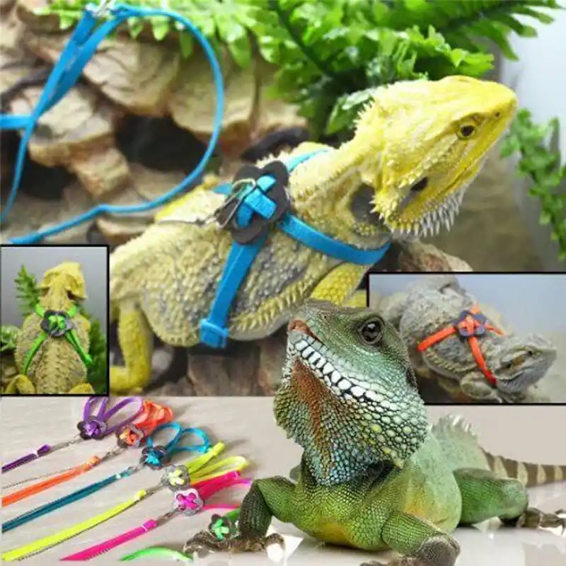 Adjustable Lizard Leash Harness Ideal For Geckos Bearded Dragons Reptiles